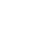 Our Services